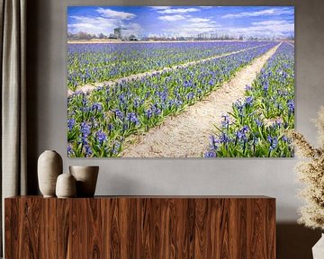 mill among the hyacinths by eric van der eijk