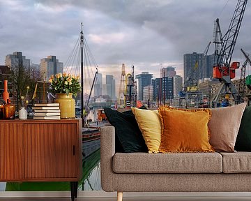 Rotterdam Leuvehaven by Rob Hogeslag