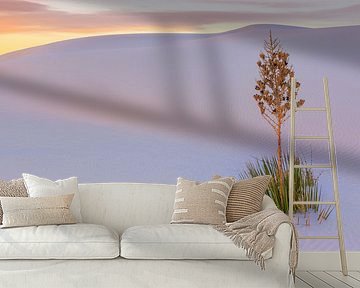 Seifenbaum-Yucca in White Sands National Monument