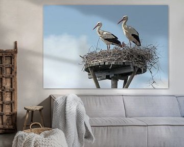 two storks von Yvonne Blokland