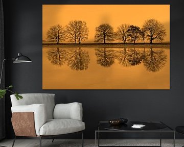 rij bomen spiegelt in het water van Ronald Jansen