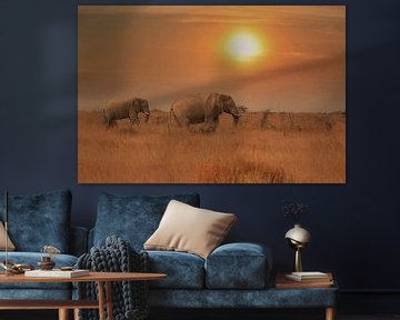 éléphants au coucher du soleil en afrique du sud sur Linda Manzaneque