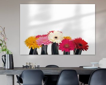 De schoonheid van de Gerbera van Bert Beekmans