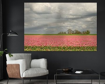 Paysage néerlandais le long de la route des tulipes  sur Wil van der Velde