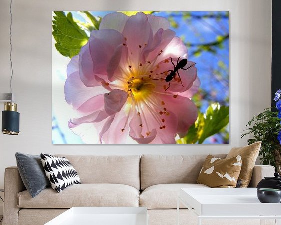 Voorbeeld van het werk in een kamer