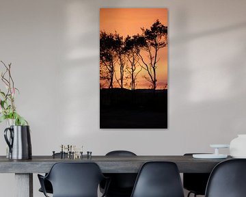 De zon verdwenen, de kleur blijft