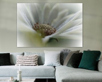 Margriet