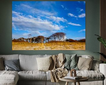 Lucht aan het strand van de Baltische Zee van Thomas Jäger