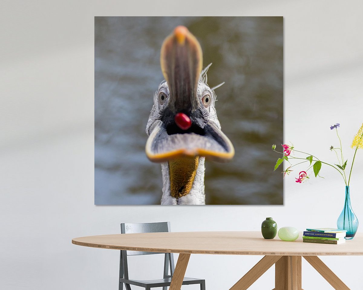 Raumvorschau