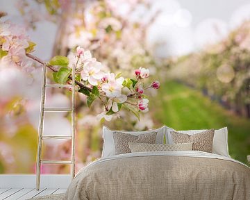 blossom apple orchard by Karin Verhoog