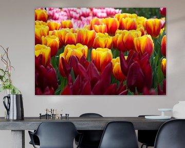 Tulips by Dzidra Dubois