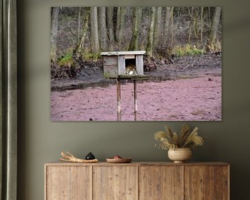 Nesting Box van Marcel Ethner