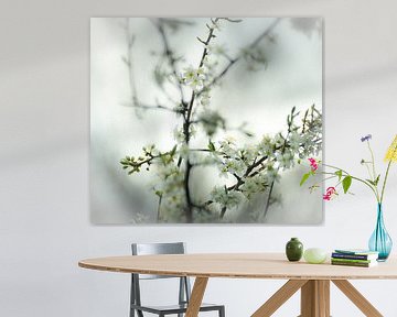 Spring and blossom by Pascal Raymond Dorland
