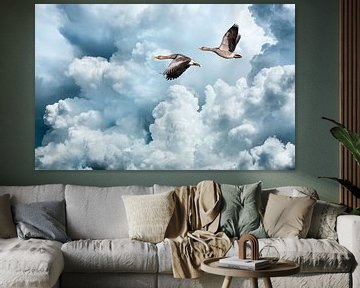 Vliegende ganzen tegen een verbazingwekkende wolkenlucht