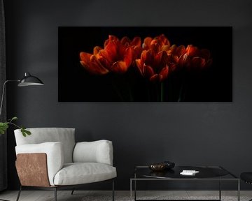Tulpen II van Pieter Navis