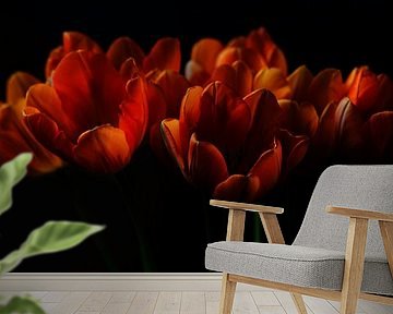Orange von Pieter Navis