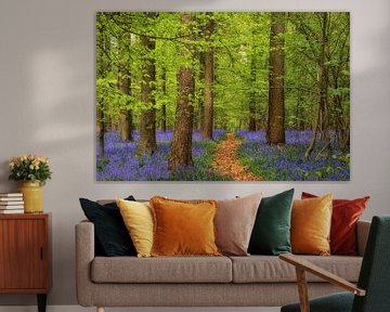 Blau in Grün, Hallerbos in Belgien von Lars van de Goor