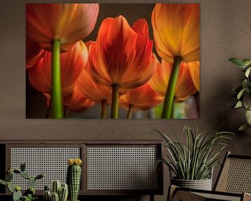 Tulpen III van Pieter Navis