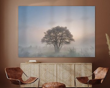 foggy morning tree by Arjan Keers