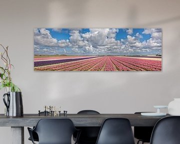 Farbige Glühbirnen Feld panorama von eric van der eijk