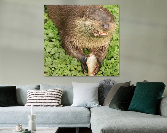 Raumvorschau
