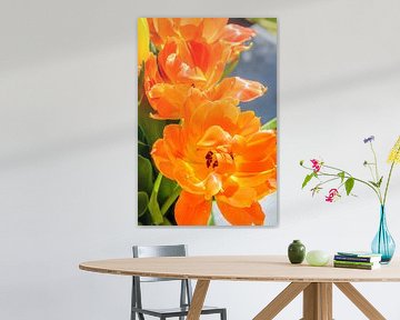 Oranje tulp von 7Horses Photography