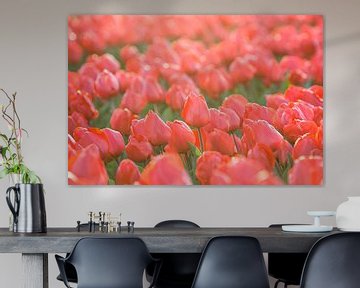 Tulips, Lisse by Johan van Venrooy