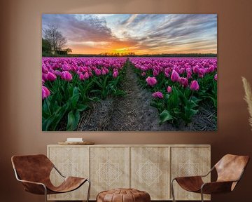 Sonnenuntergang am Vogelenzang in der Dünen und Blumenzwiebeln Region im Westen der Niederlande von Ardi Mulder