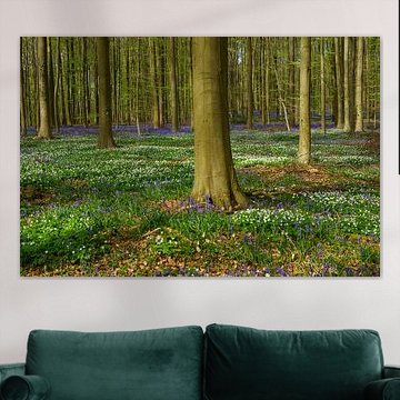 Lente in het bos by Michel van Kooten