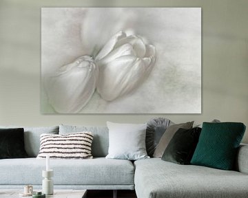 Witte Tulpen van Ellen Driesse