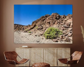 Landscape on the canary island Tenerife by Rico Ködder