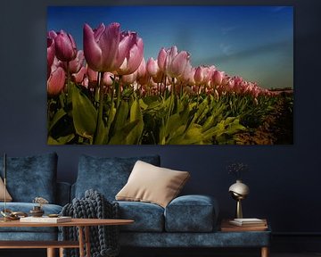 Pink Tulips von Rob Kuijper