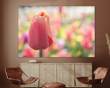 Pastel Tulip Passion van Leanne lovink