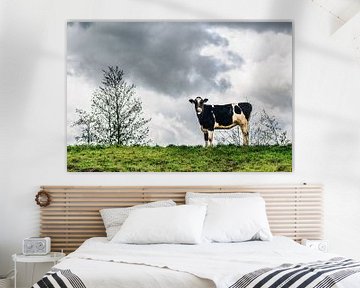 Vache sur Thomas van der Willik