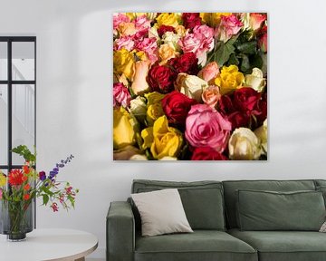 Coloured roses