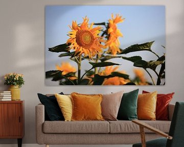 Sonnenblumen van Jana Behr