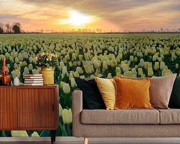 Gele tulpen tijdens zonsondergang van Sjoerd van der Wal Fotografie