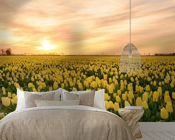 Gele tulpen tijdens zonsondergang van Sjoerd van der Wal Fotografie