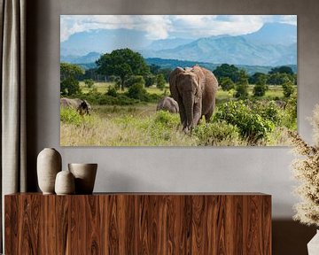 Olifanten op savanne van Jolanda van Straaten