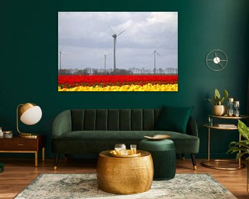 Beautiful Dutch landscape with yellow and red tulips von Frouwkje Fotografie