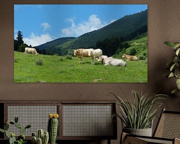 Koeien in de Franse Pyreneeën van Gonnie van Hove