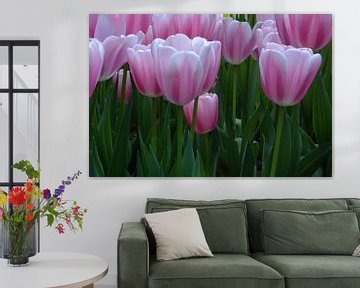 Tulpen van Carolina Vergoossen