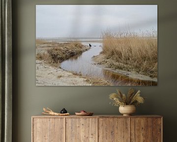 Groene strand op Terschelling (Holland) von Margriet's fotografie