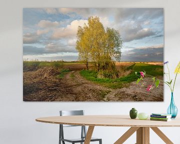 Brabantse Landschappen van Edwin Wiekens