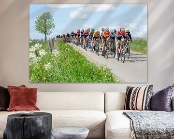 Omloop van Borsele by Mady Kleeven