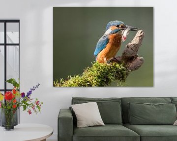 Ijsvogel met gevangen vis van Nico Leemkuil