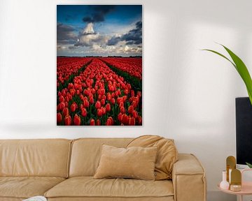 Eindeloos rood tulpenveld van Erik Keuker