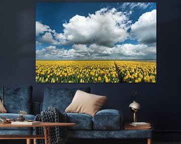 Hollands tulpen veld met stapelwolken