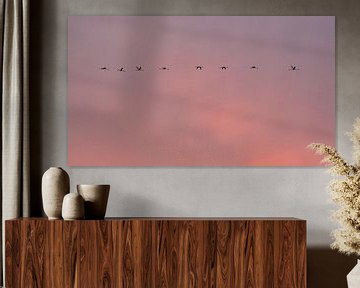 skyline Flamingo's by Marina Nieuwenhuijs