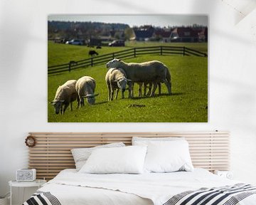 Schapen op de dijk van Terschelling by Marlin van der Veen
